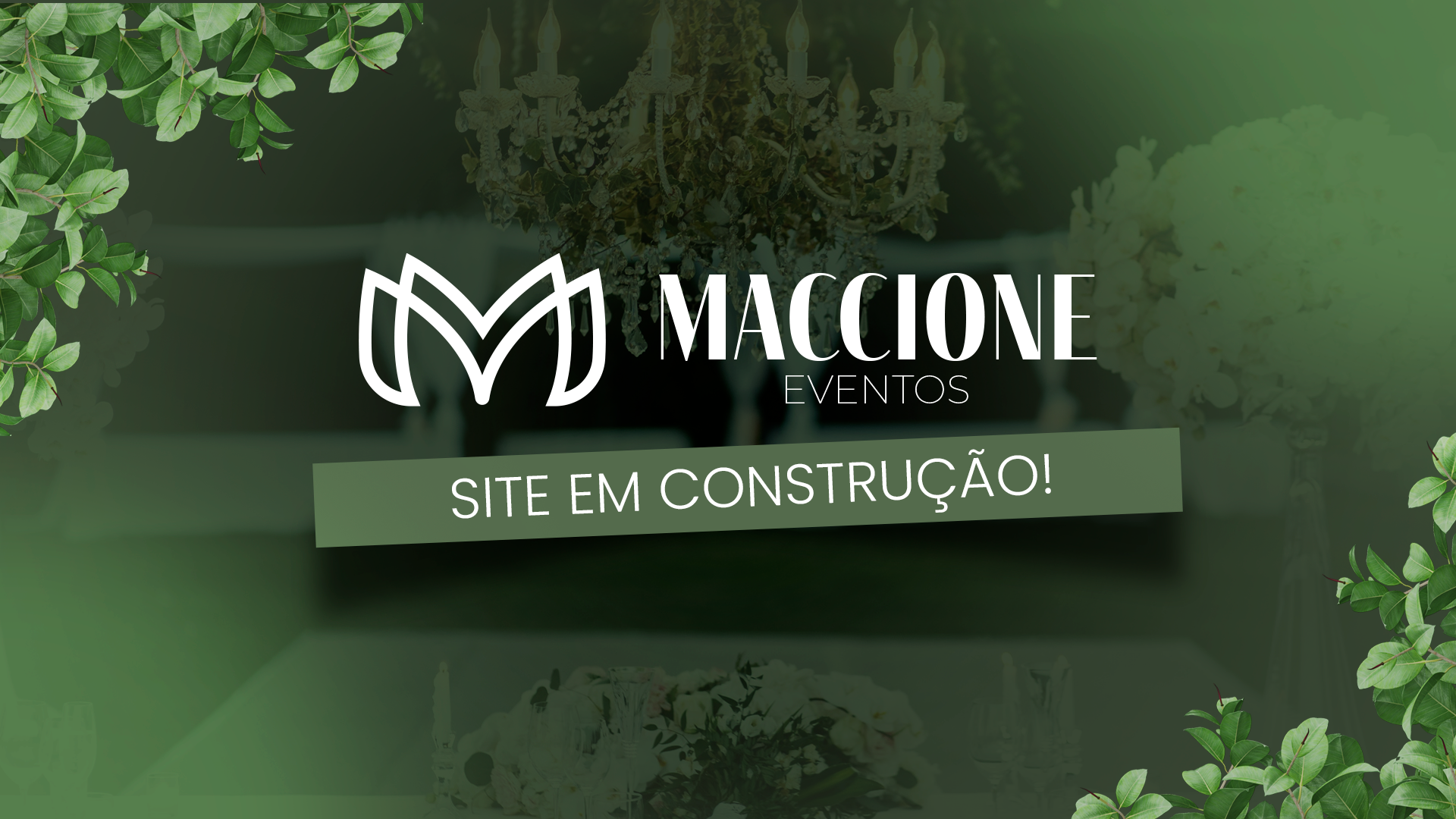 Sem Titulo 1
